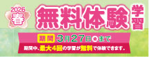 春の無料体験学習 実施中